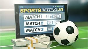 Exploring the Excitement of Bet100 Your Ultimate Gaming Experience Exploring the Excitement of Bet100 Your Ultimate Gaming Experience